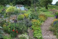 Tuin smakelijk voedselbos